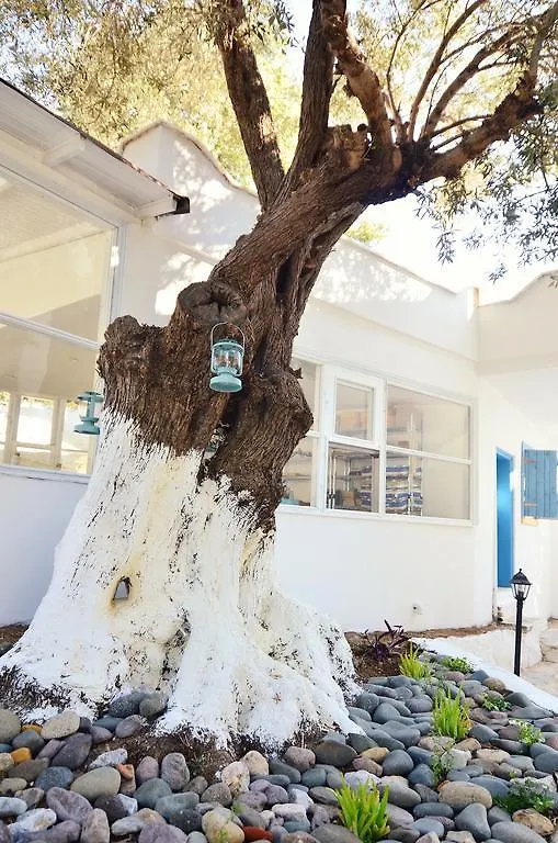Misket Hotel Bodrum Bed & Breakfast Gumusluk